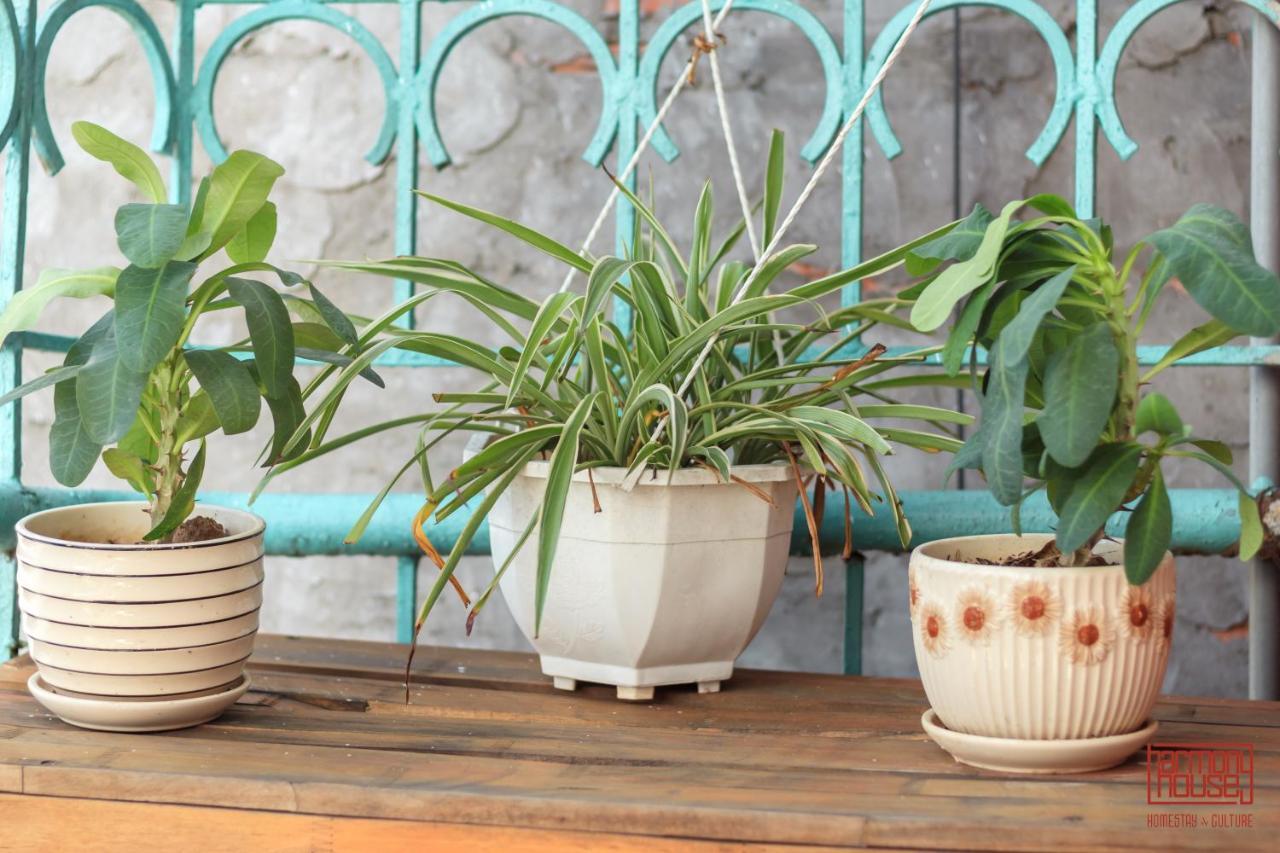 Harmony Homestay - Hanoi Homestay In Old Quarter Ngoại thất bức ảnh